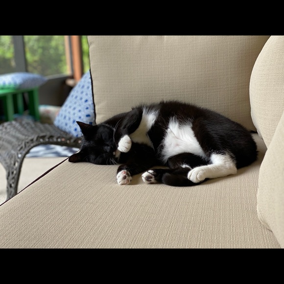 Meet your Posher, Sara - Picture 8 of 12